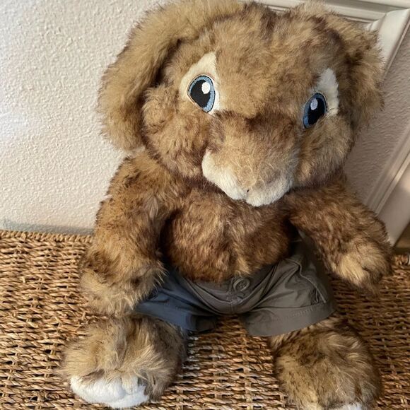 Peter Rabbit 2011 Build a Bear Plush Rabbit - Picture 3 of 15